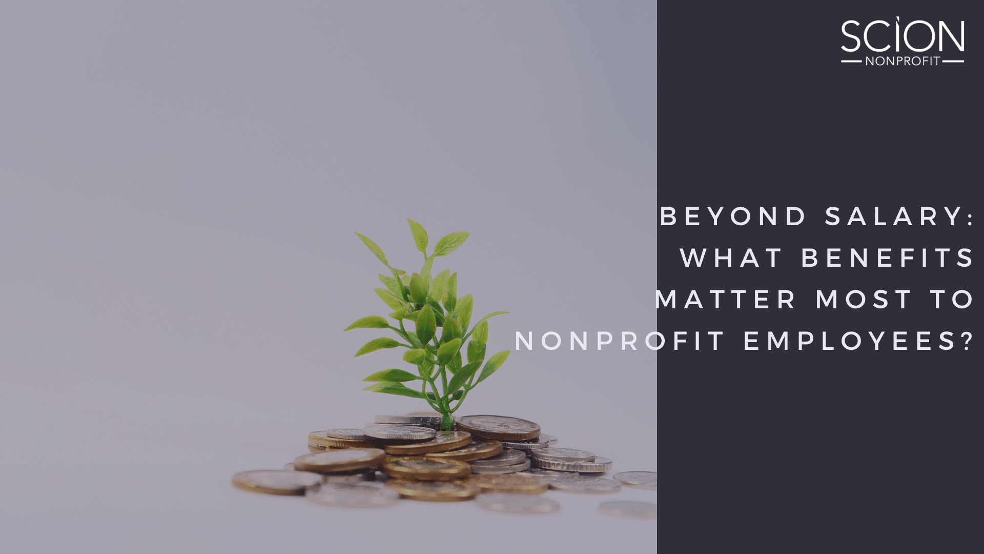 Beyond Salary What Benefits Matter Most to Nonprofit Employees