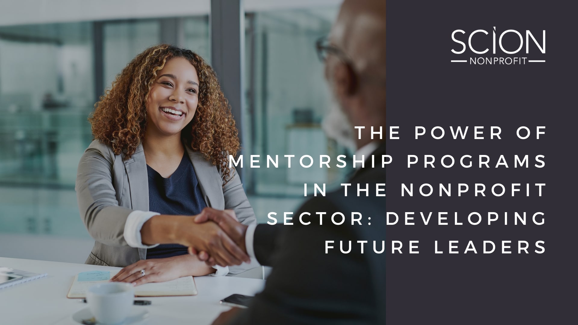 Nonprofit Executive Search Trends in 2024 A The Power of Mentorship Programs in the Nonprofit Sector Developing Future LeadersMid-Year Analysis